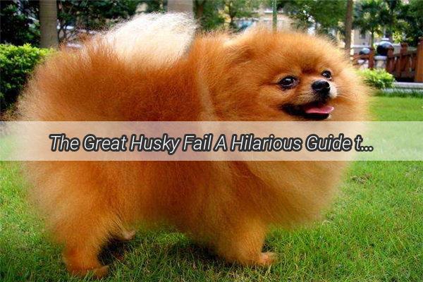 The Great Husky Fail A Hilarious Guide to the Worlds Most Mischievous Dog Breed